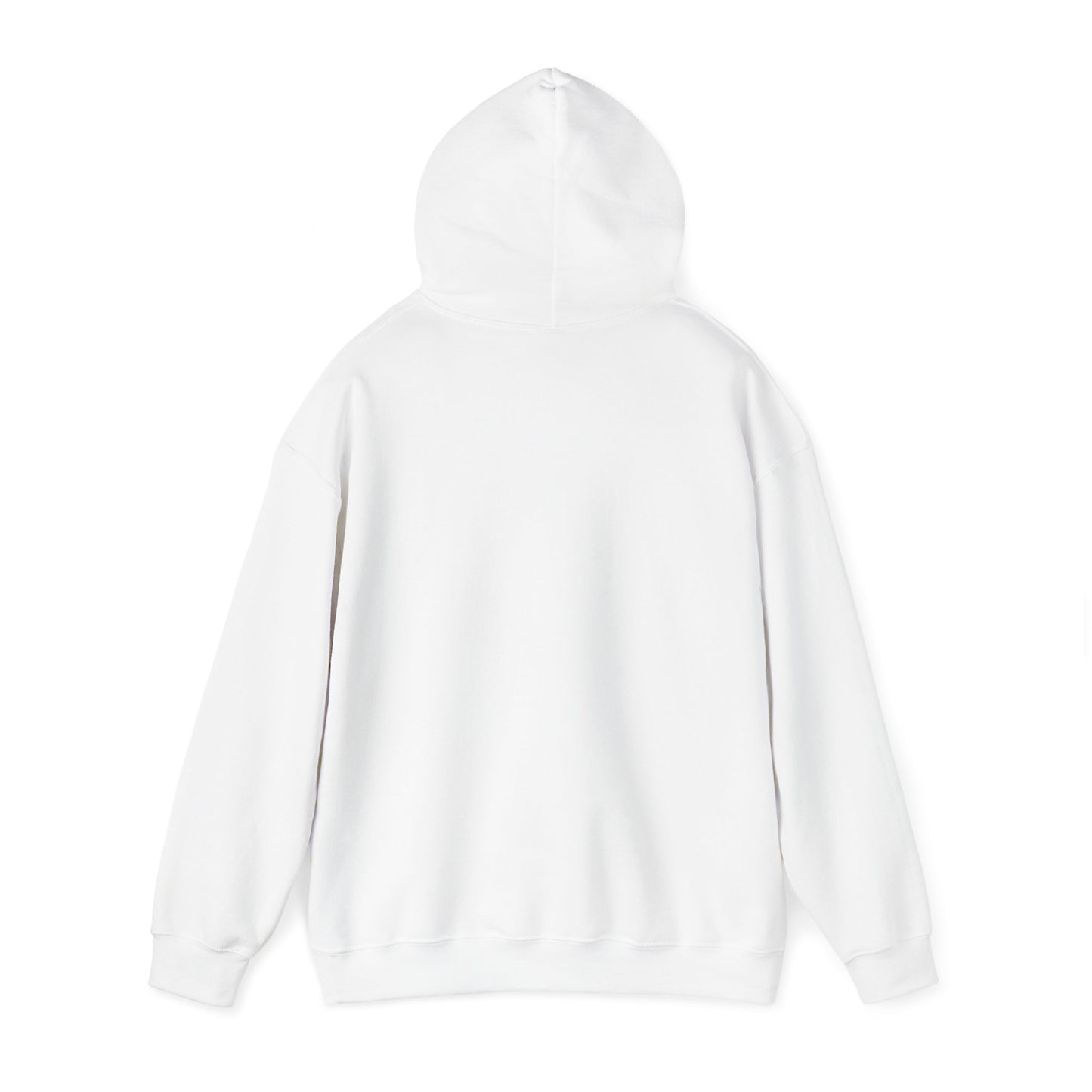 Alaska Northern Lights Unisex Hooded Sweatshirt